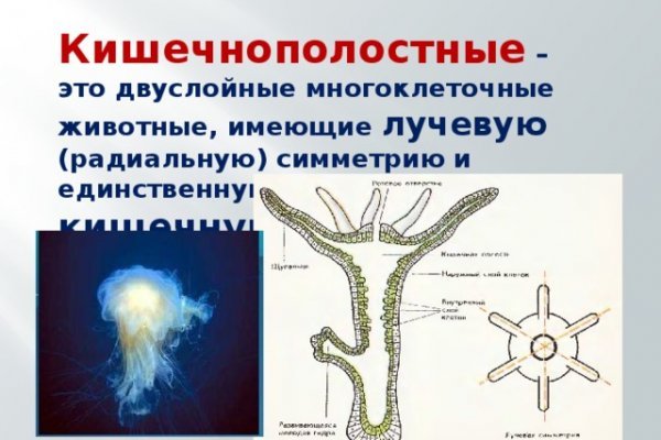 Кракен лучший маркетплейс