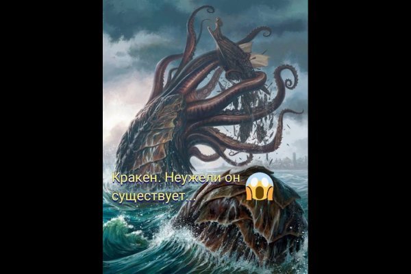 Kraken 24 at