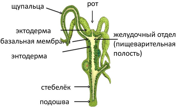 Зеркала кракен kraken014 com kraken014 com